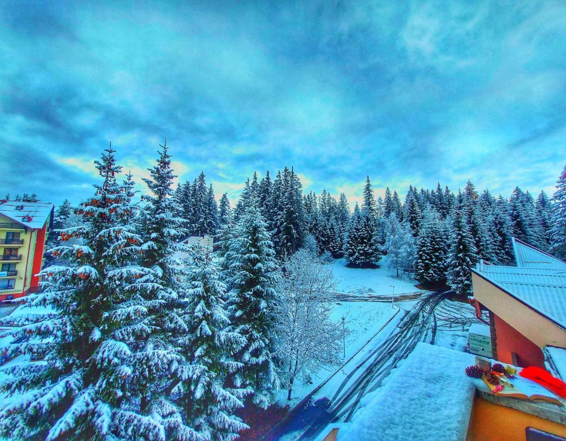 Vila Simonte Poiana Brasov Hotel Exterior photo