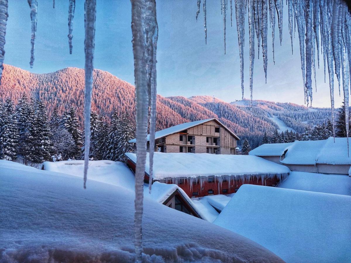 Vila Simonte Poiana Brasov Hotel Exterior photo